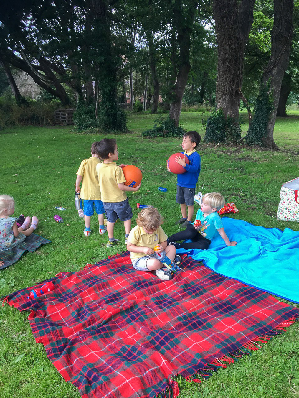 picnic blanket